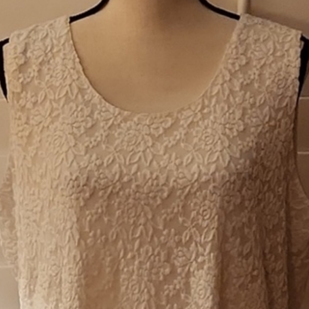 Absolutely Gorgeous Lace Tank Susan Graver
